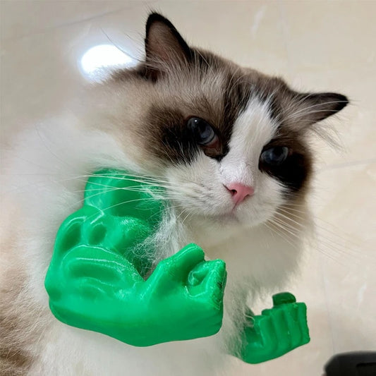 Bras musculaire pour chat
