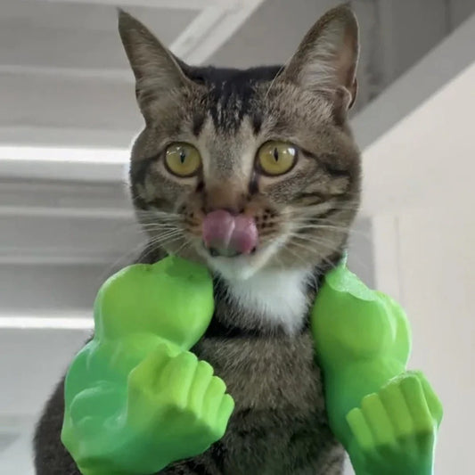 Bras musculaire pour chat