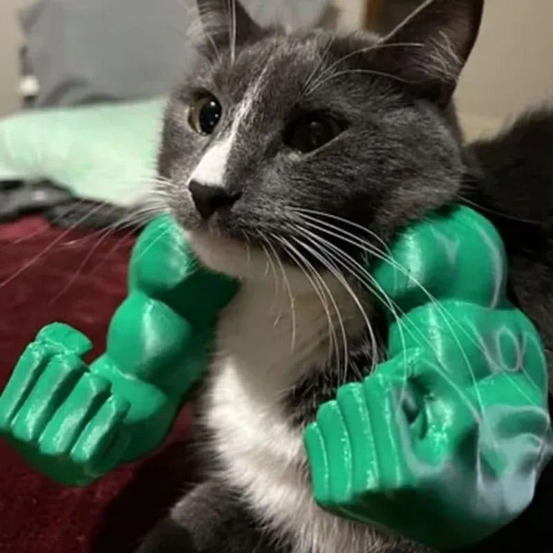 Bras musculaire pour chat